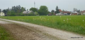 Blick auf Ettringen vom Jakobsweg am 10.05.2016