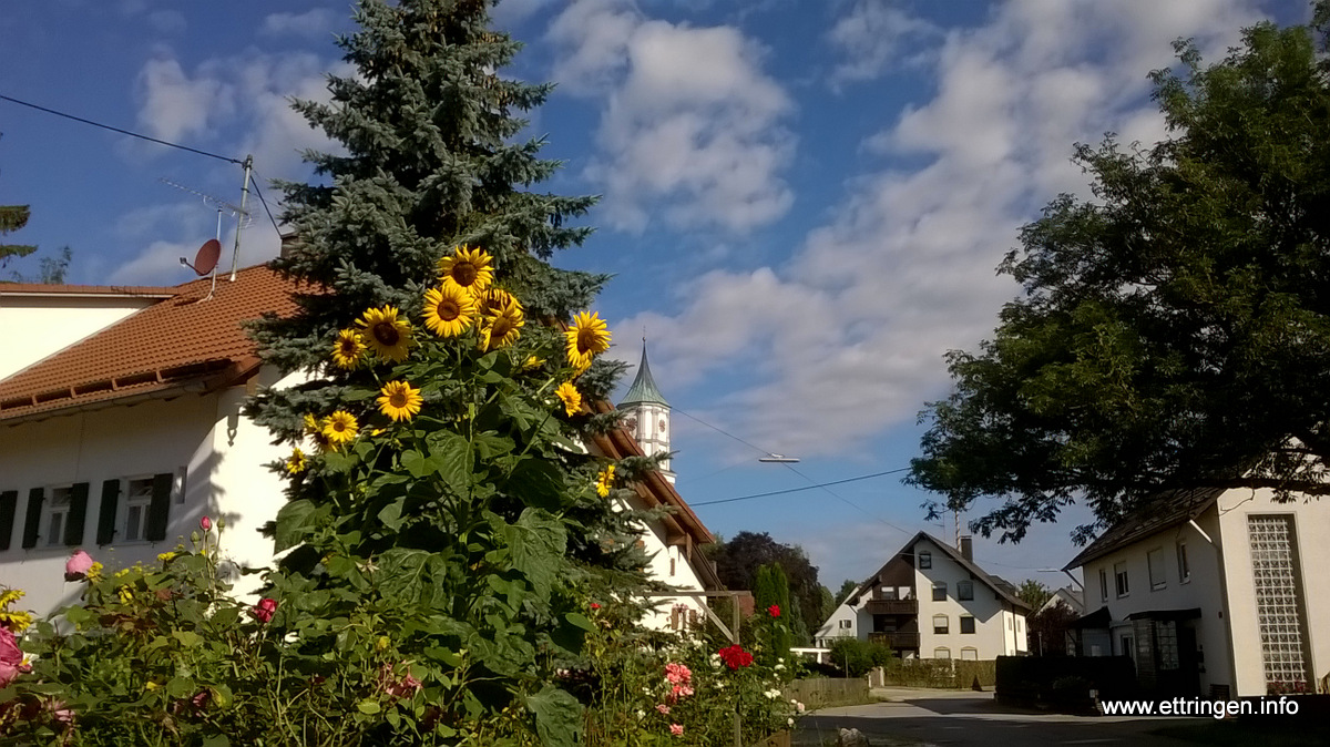 Wettenstraße in Ettringen am 01. August 2016