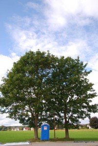 "Stille Idylle" in Ettringen