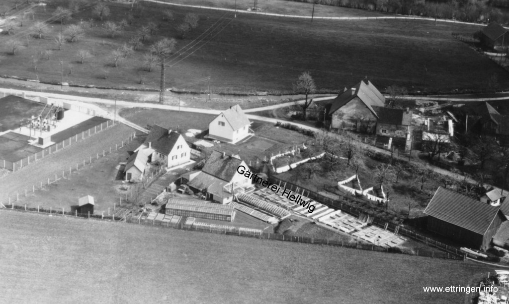 Die  Gärtnerei 1954