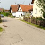 ... die Straße ist frei!!!