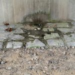 Hinterlassenschaft der Sex Crew