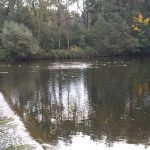 Ausblick von der Ruhebank beim Oberen Wehr (West)