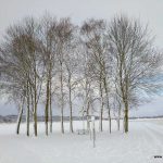 westlich von Ettringen - 01.12.2017