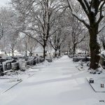 Ettringer Friedhof - 01.12.2017