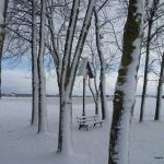 westlich von Ettringen - 01.12.2017