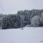 westlich von Ettringen - 01.12.2017