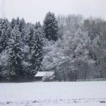 westlich von Ettringen - 01.12.2017