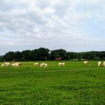 Blick zum Tannenberg