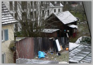 Geduldig lauert diese Katz‘ auf Mäuse oder einen Ratz