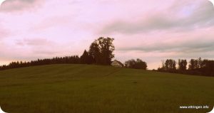 Pfandzelter-Anwesen auf dem Kusterberg