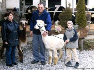 Petra, Manfred und Toni Kögel mit ihren Alpakas.