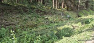 Blick auf das alte Gleisbett