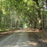 Durch den Wald Richtung Tussenhausen-Markt Wald