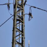 Sogar die Störche sind erstaunt!